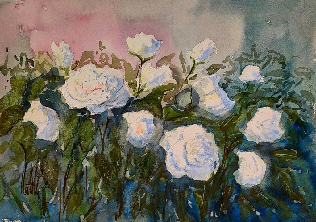 Roses blanches de Meinier